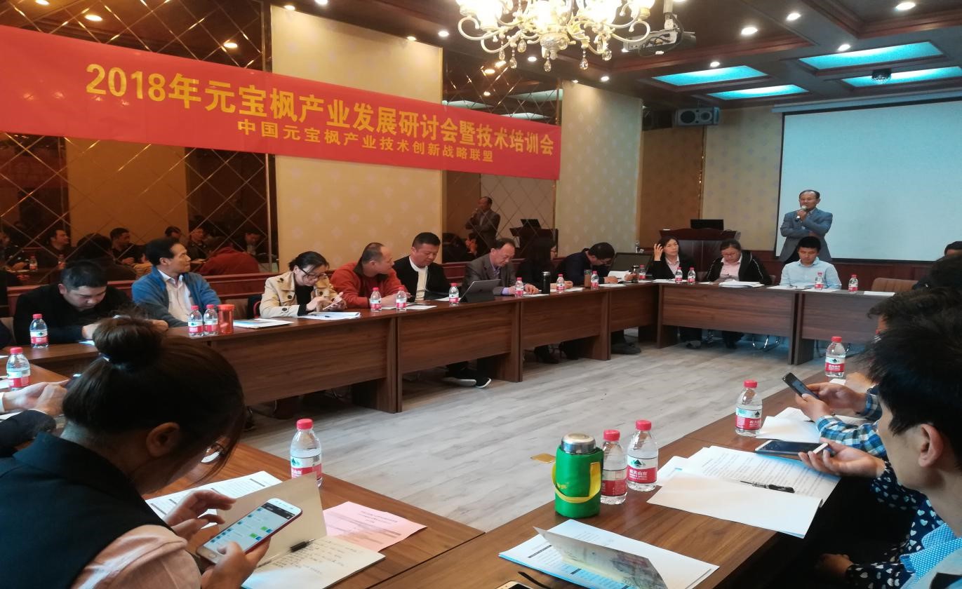 2018年元宝枫产业发展研讨会暨技术培训会 在中国元宝枫之乡山东泗水隆重召开