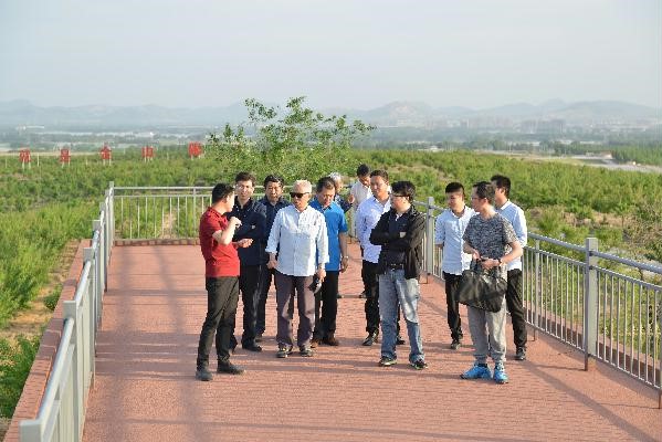国家林业局元宝枫产业发展调研组到泗水调研