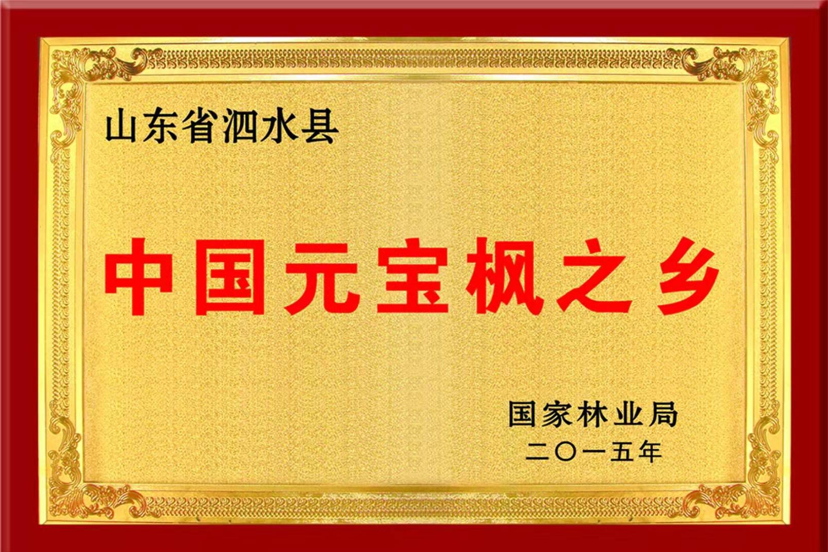 中国元宝枫之乡