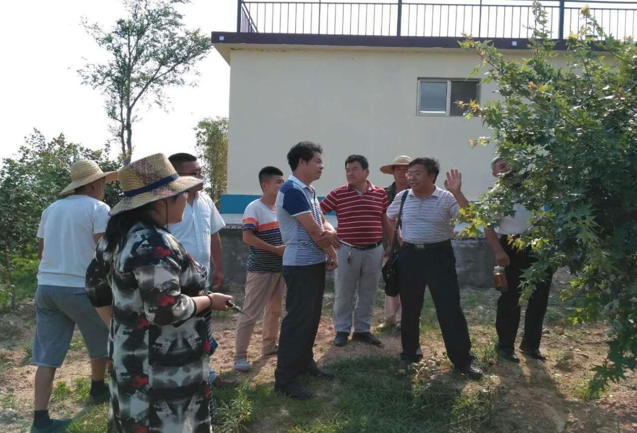 山东农业大学林学院杨克强教授来基地指导工作 山东农业大学林学院杨克强教授来基地指导工作